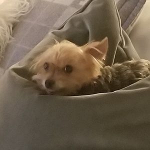 Meet your Posher, Chynna